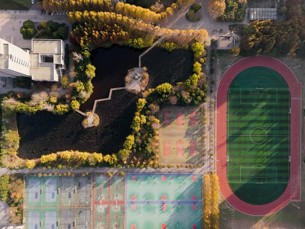 Comment intégrer le Jiu-jitsu brésilien dans une routine de fitness